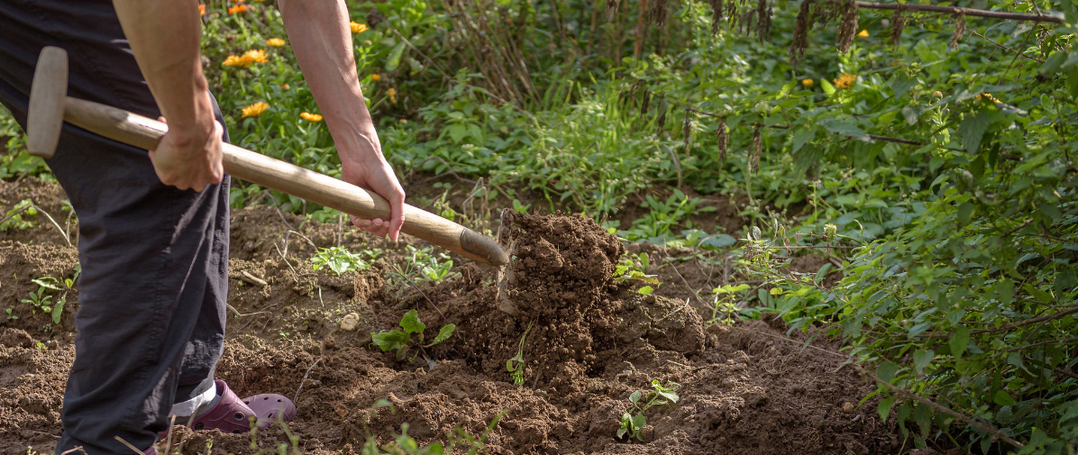 What Are The Stages In Gardening What Are The Stages In Gardening
